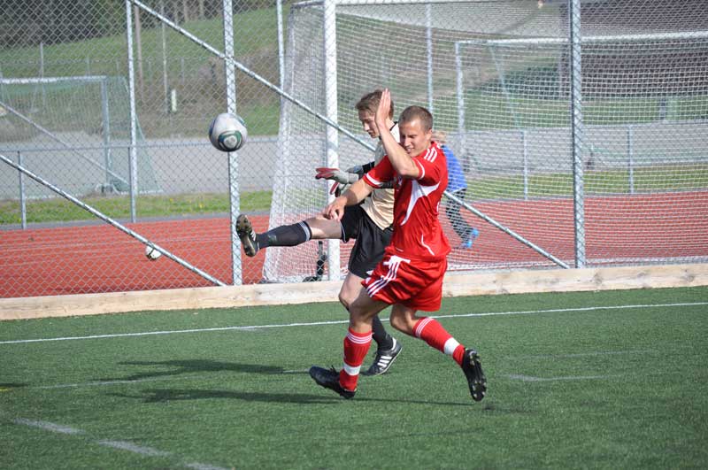 Bild 15