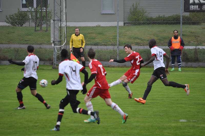 Bild 15