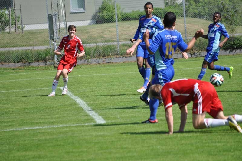 Bild 15