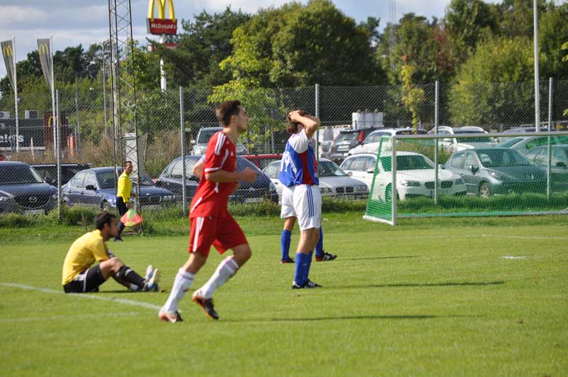 Bild 15