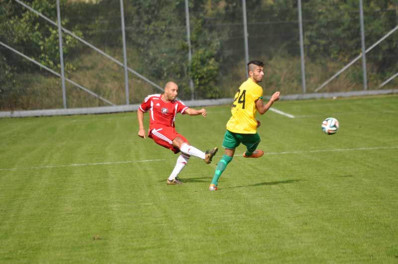 Bild 15