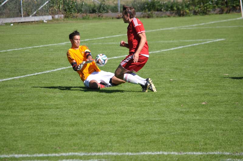 Bild 15