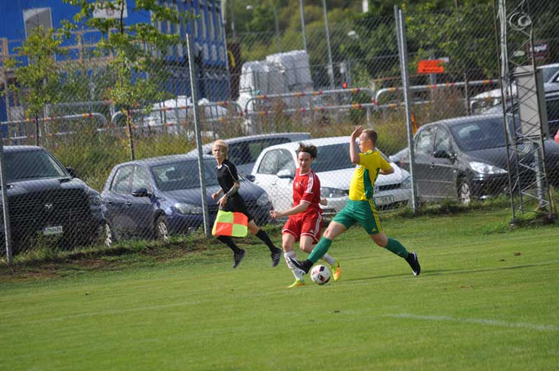 Bild 11