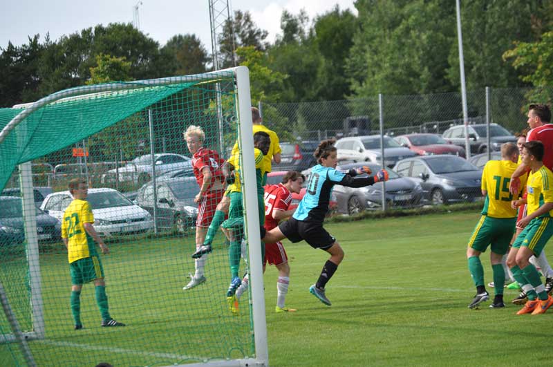 Bild 14