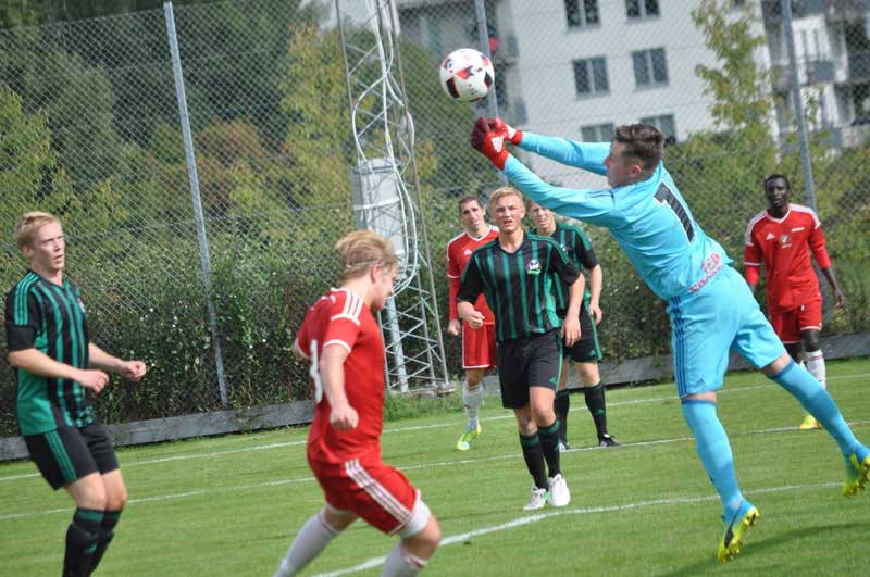 Bild 16