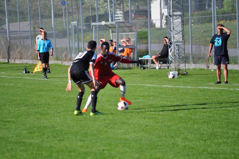 Bild 15
