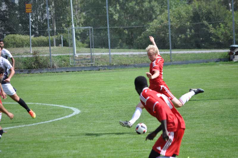 Bild 8