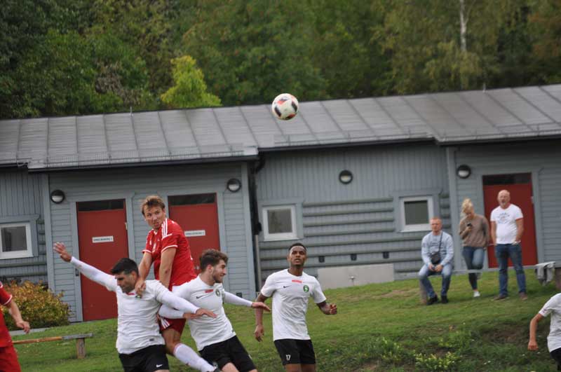 Bild 17