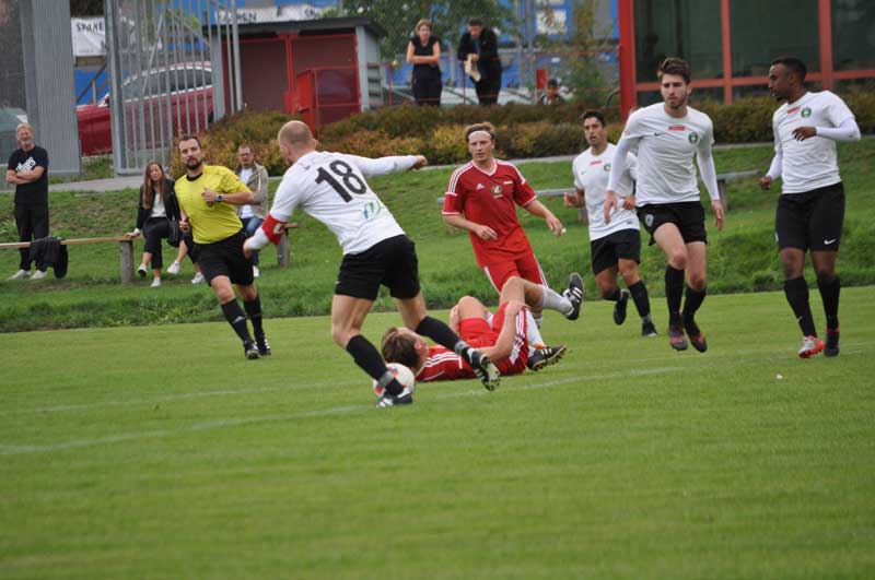 Bild 19