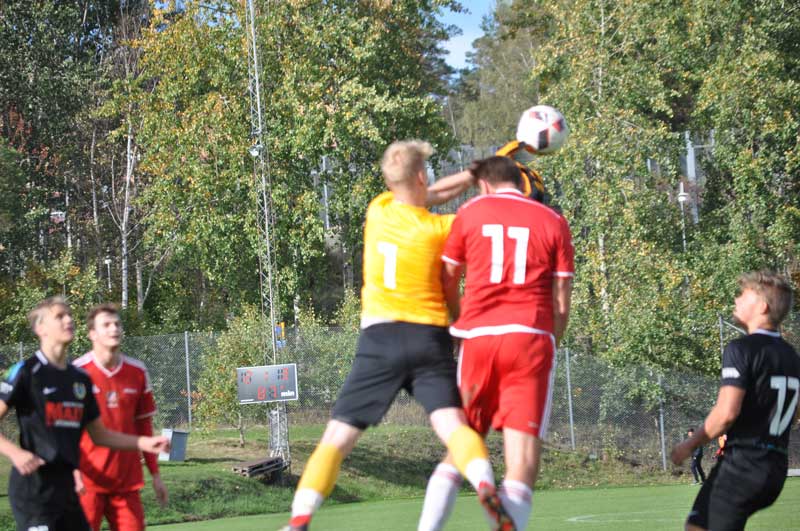 Bild 15