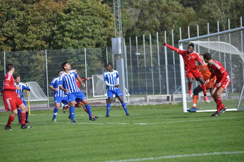Bild 10