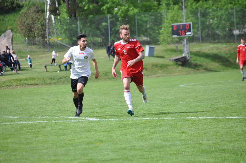 Bild 15