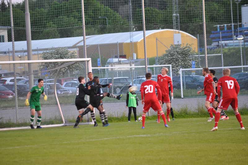 Bild 19