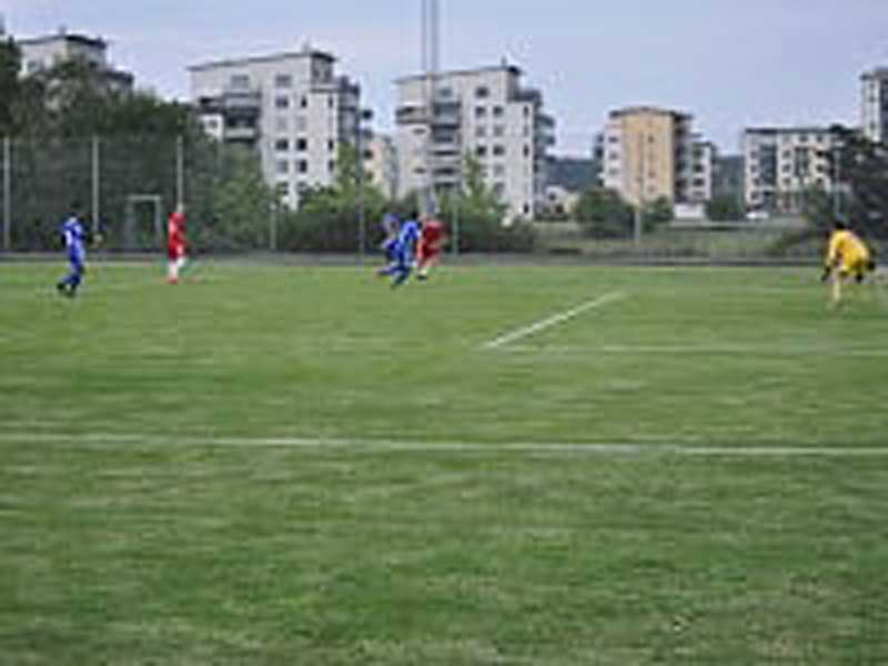 Bild 21