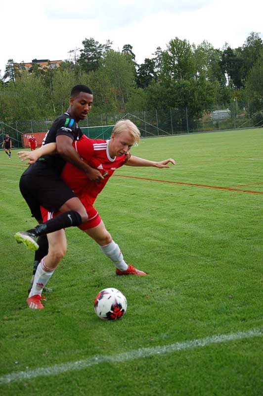 Bild 21