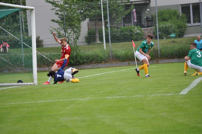 Bild 15