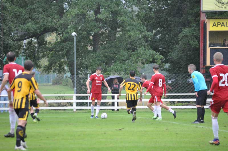 Bild 17
