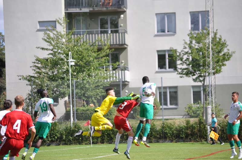 Bild 12