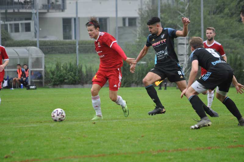 Bild 31
