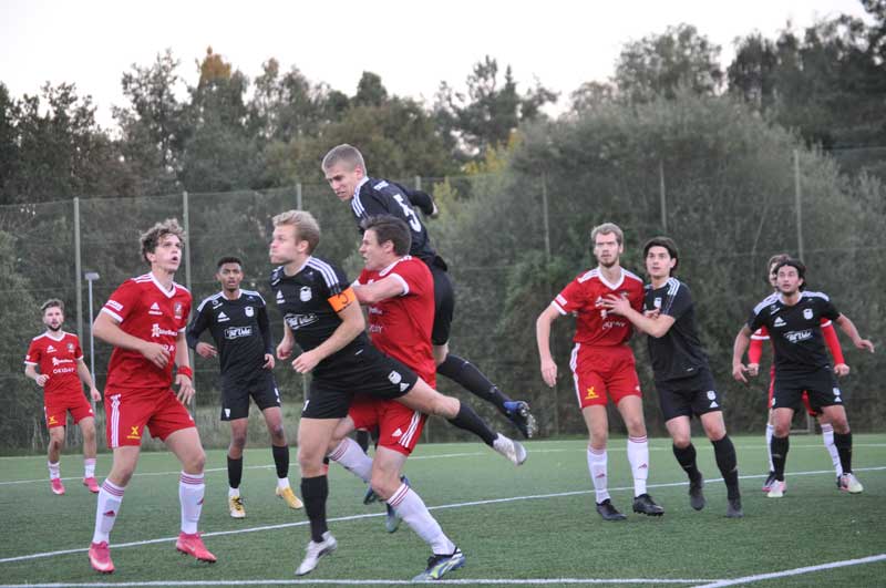 Bild 15