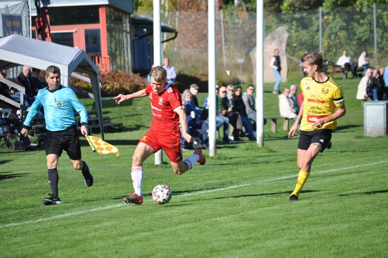 Bild 16