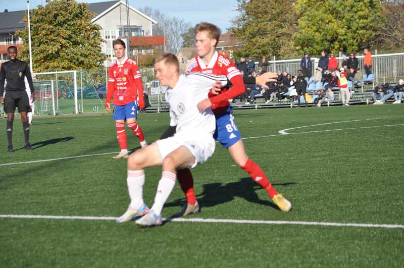 Bild 12