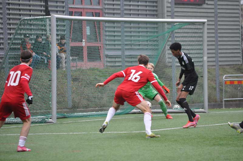 Bild 15