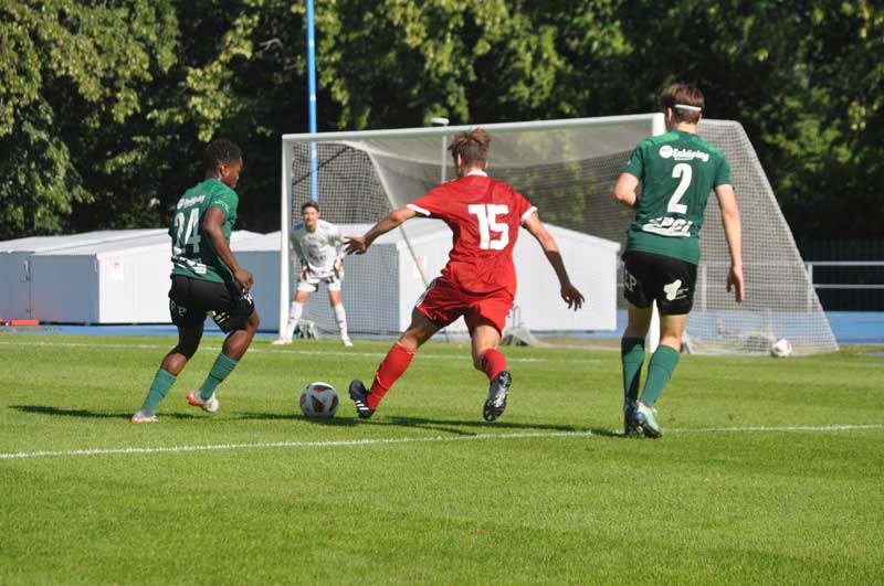 Bild 15