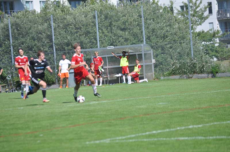 Bild 15