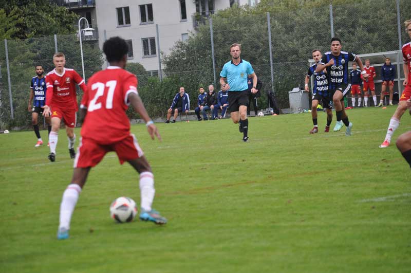 Bild 15