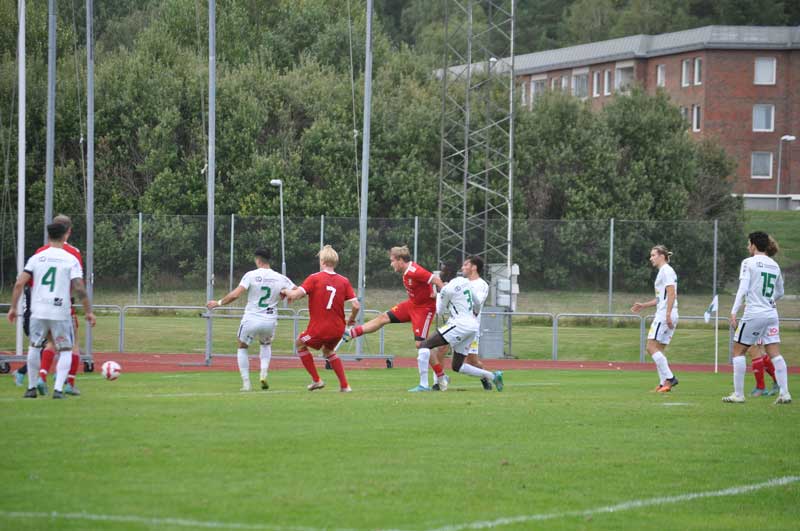Bild 15