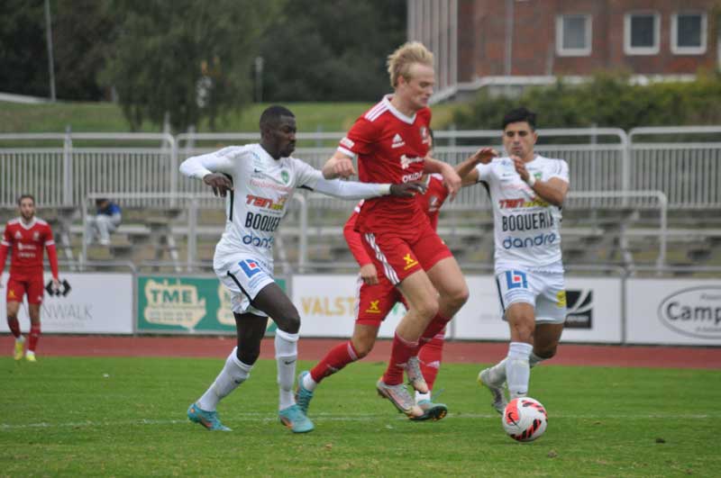 Bild 19