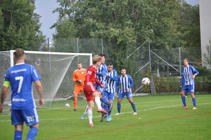 Bild 15
