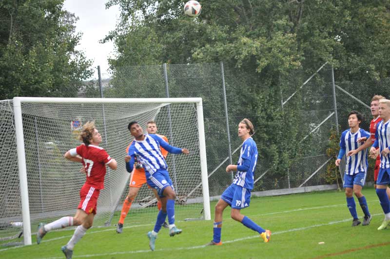 Bild 21