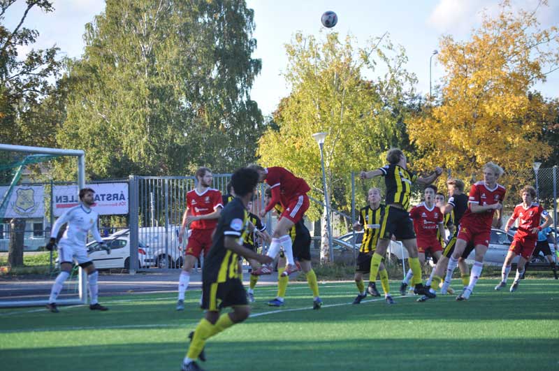 Bild 15