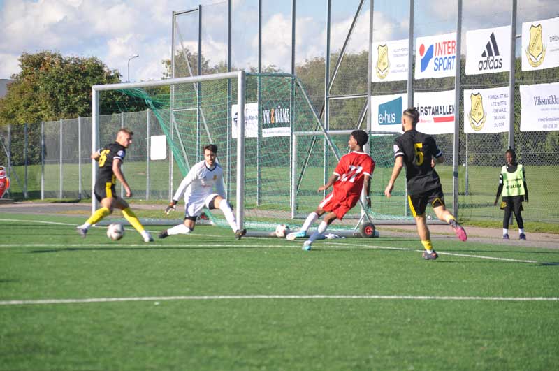 Bild 8