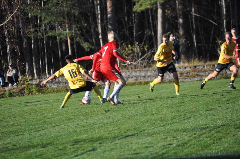 Bild 10