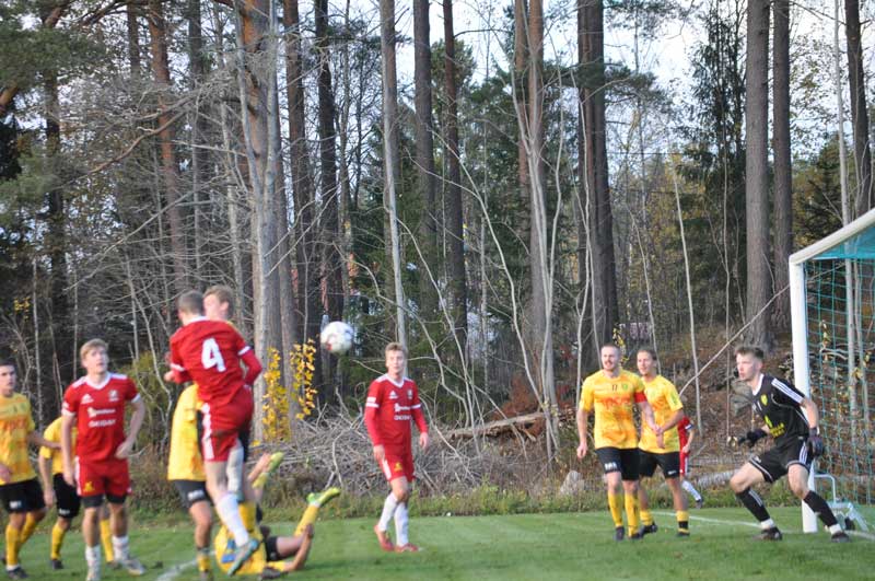 Bild 18