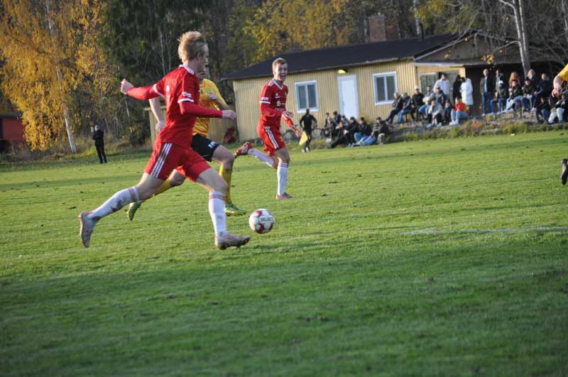 Bild 19