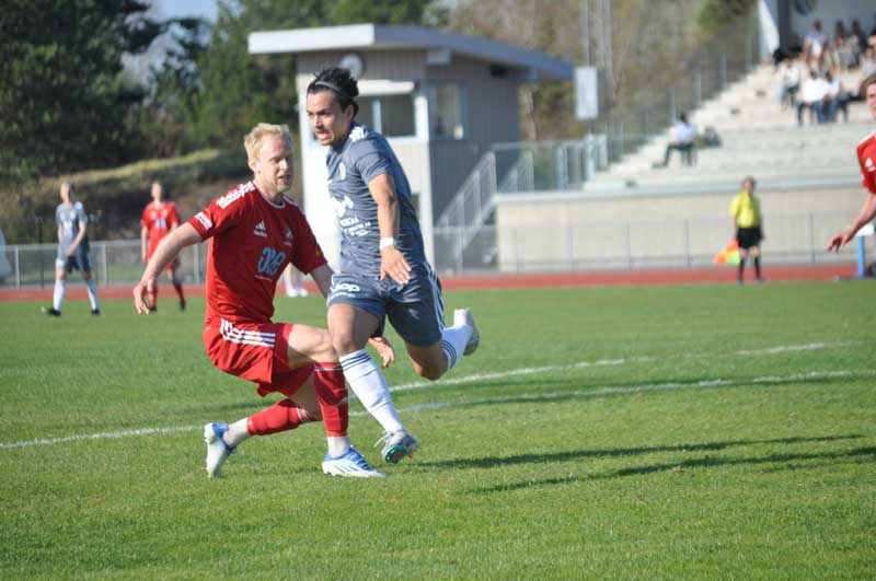 Bild 19