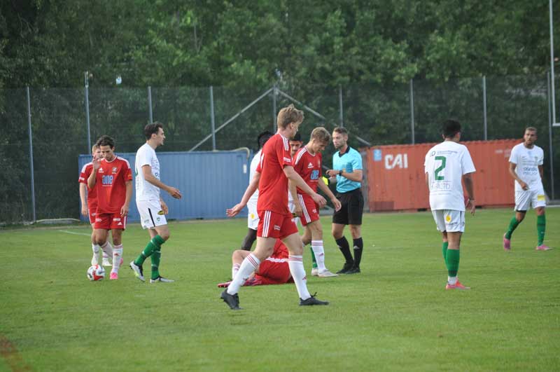 Bild 12