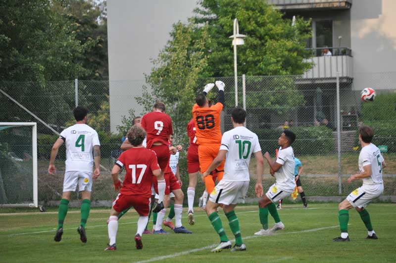 Bild 15