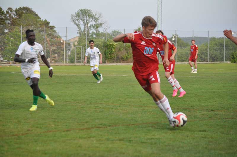 Bild 16