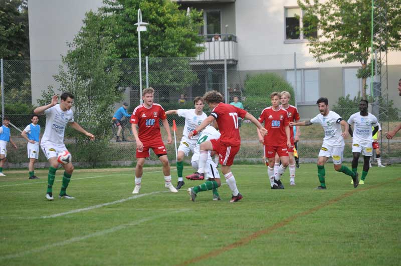 Bild 19