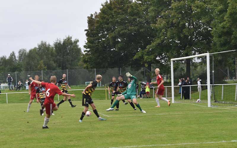 Bild 19