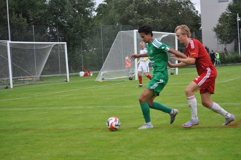 Bild 17