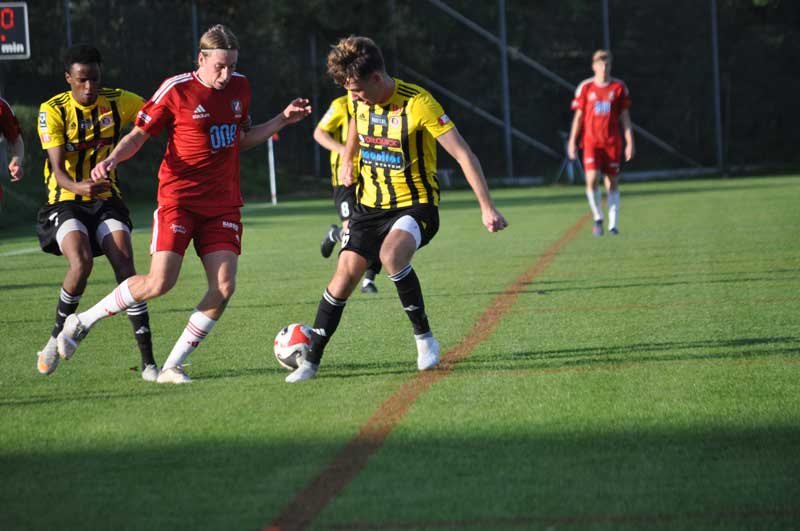 Bild 12