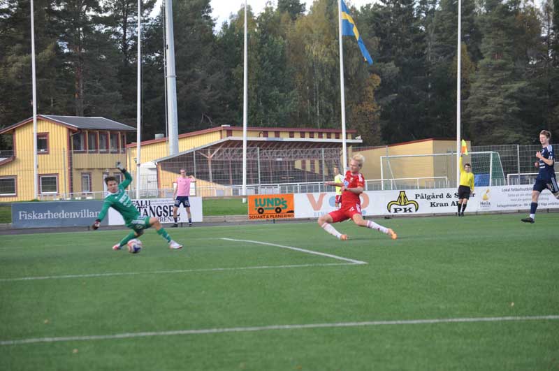 Bild 19
