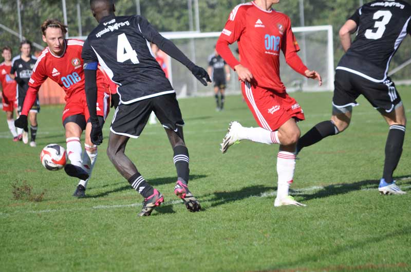 Bild 15
