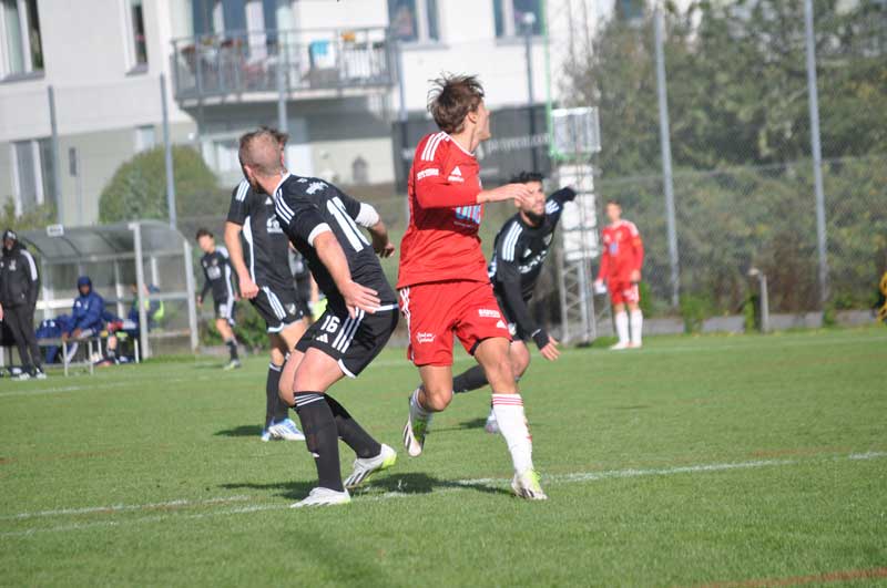Bild 19
